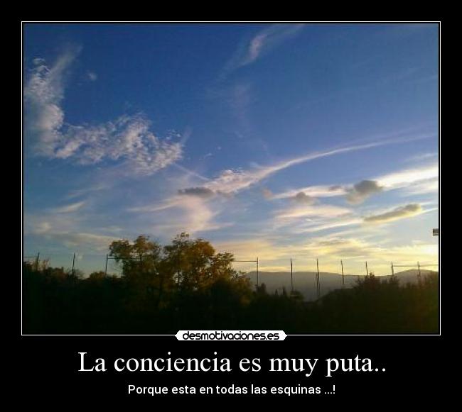 La conciencia es muy puta.. -