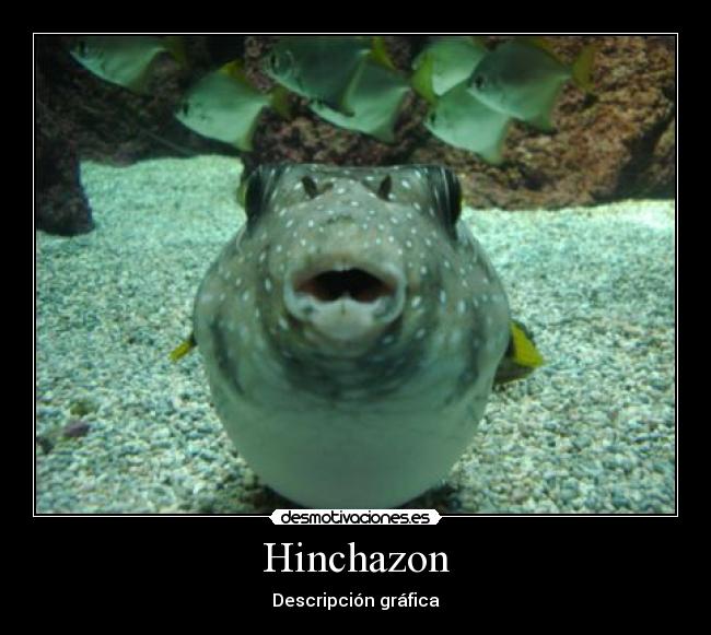 Hinchazon -