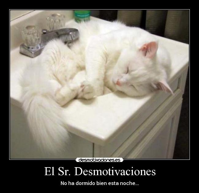 El Sr. Desmotivaciones -