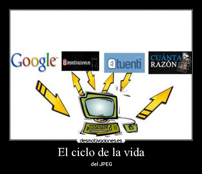 carteles vida ciclo vida jpeg desmotivaciones