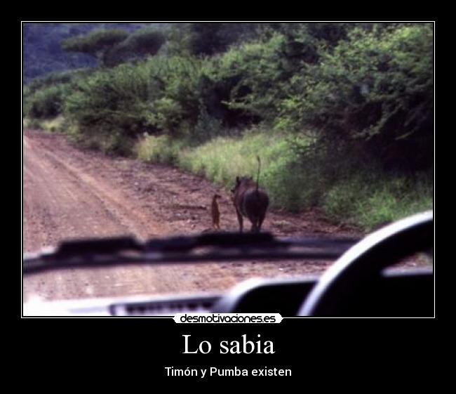 Lo sabia -