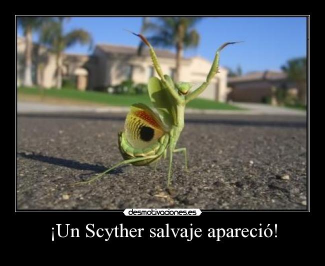 carteles scyther desmotivaciones