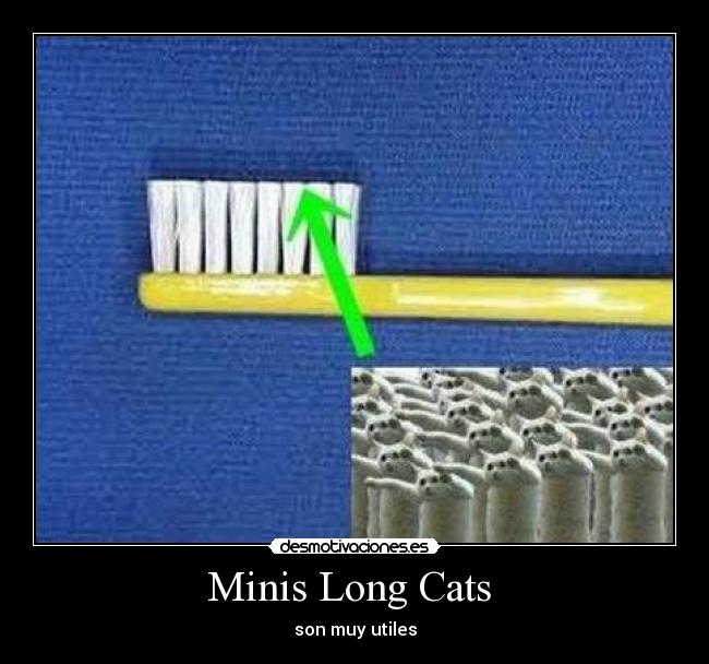Minis Long Cats  - son muy utiles