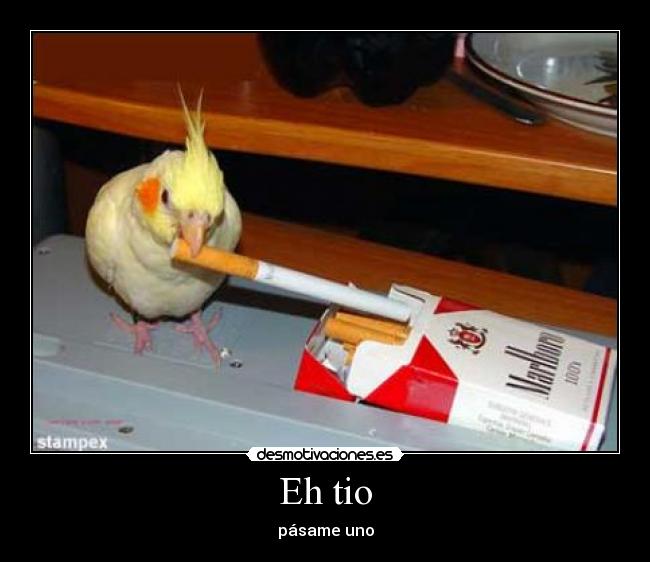 Eh tio - pásame uno