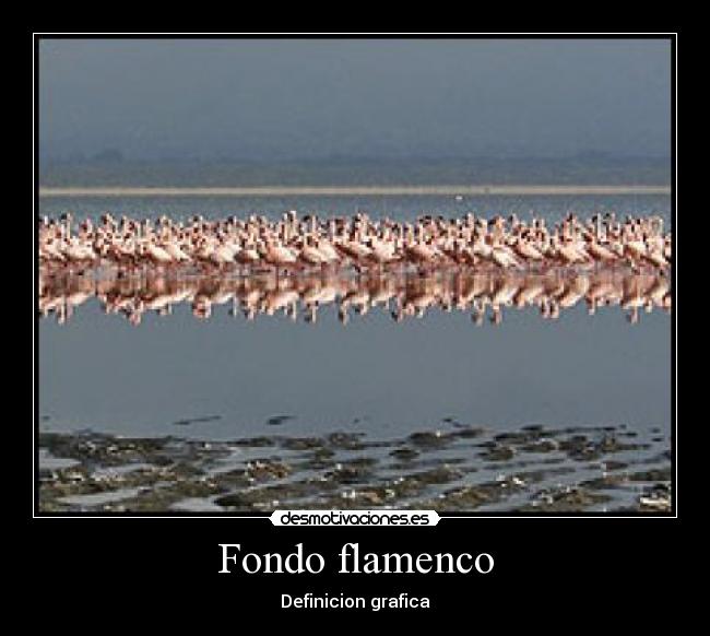 Fondo flamenco - Definicion grafica