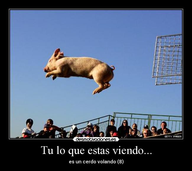 Tu lo que estas viendo... - 