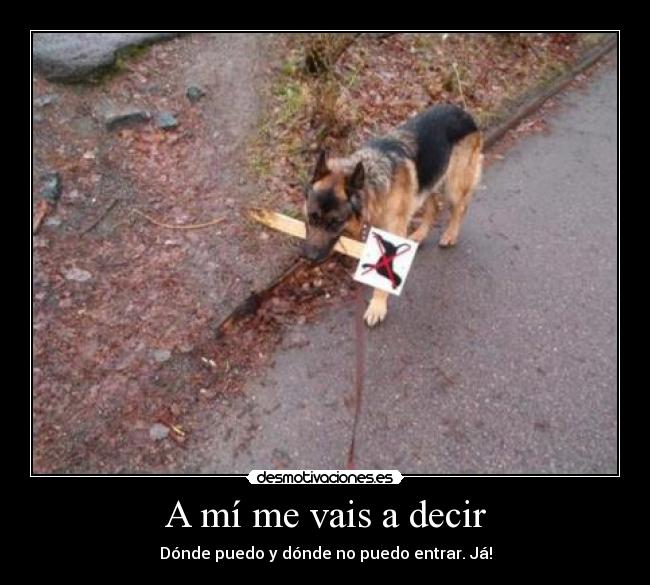 carteles perro malote senal desmotivaciones