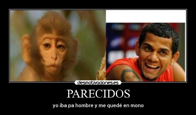 PARECIDOS - 