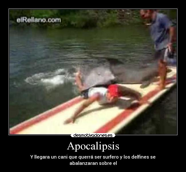 carteles cani punto morir ahogado desmotivaciones