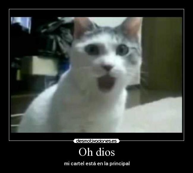 Oh dios - mi cartel está en la principal