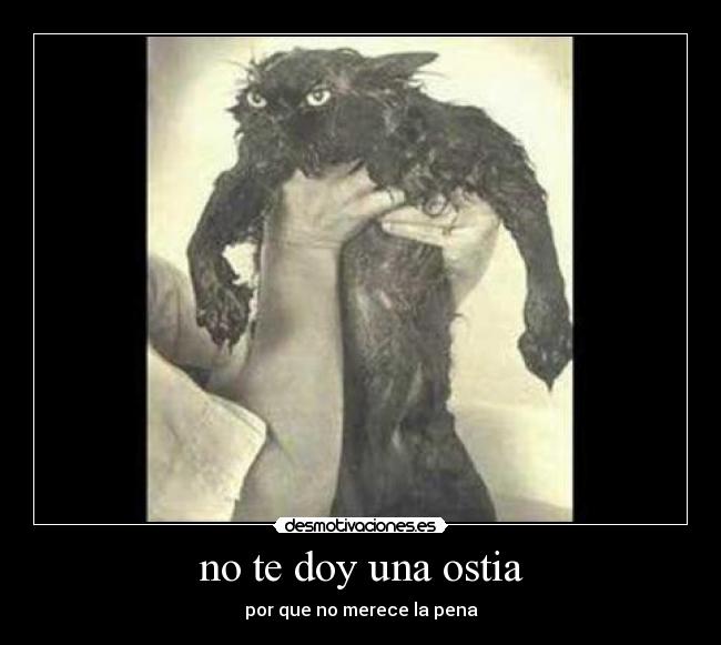 no te doy una ostia - por que no merece la pena