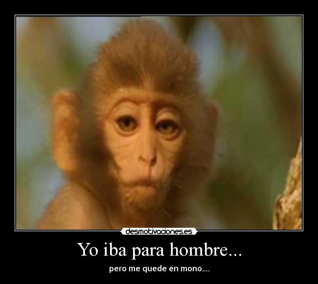 Yo iba para hombre... - 