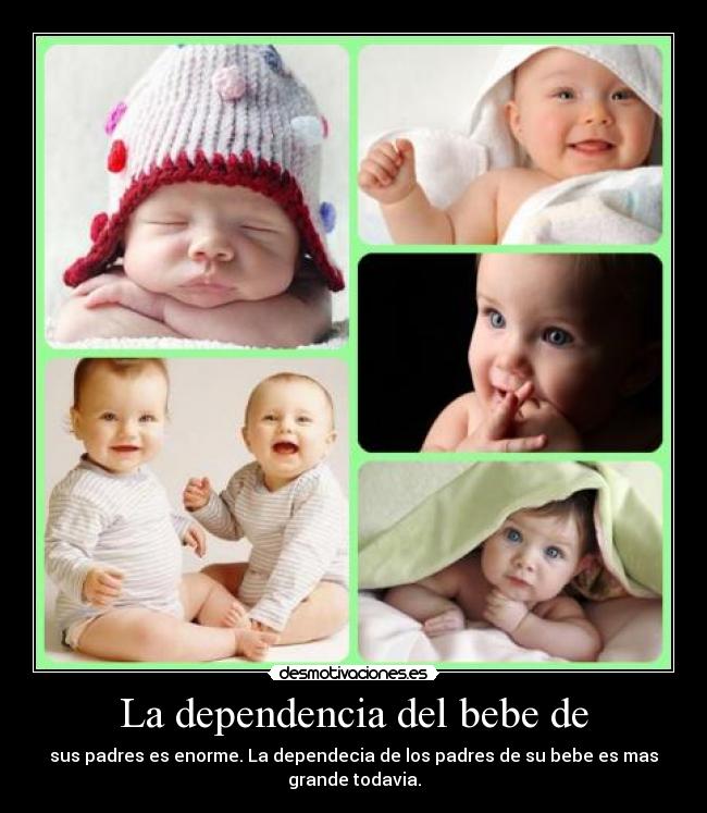 carteles beees desmotivaciones