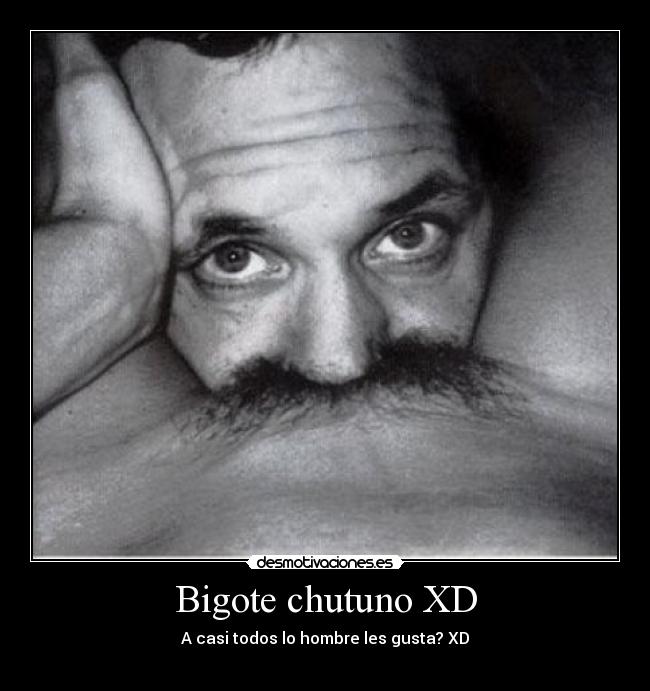 Bigote chutuno XD -
