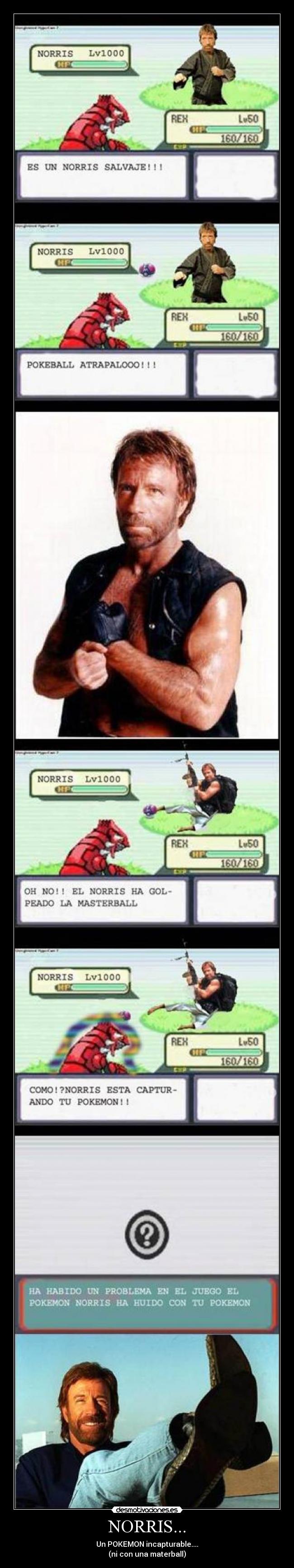 NORRIS... - Un POKEMON incapturable....
(ni con una materball)