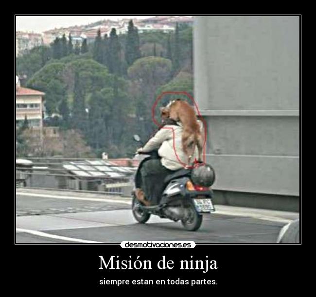 carteles mision desmotivaciones