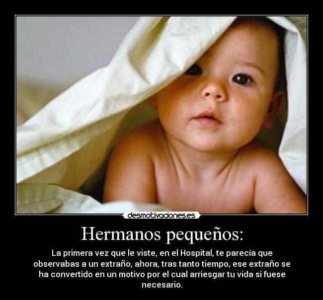 Hermanos pequeños: - La primera vez que le viste, en el Hospital, te parecía que
observabas a un extraño, ahora, tras tanto tiempo, ese extraño se
ha convertido en un motivo por el cual arriesgar tu vida si fuese
necesario.