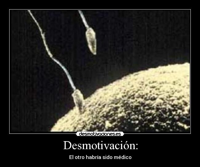 Desmotivación: - 