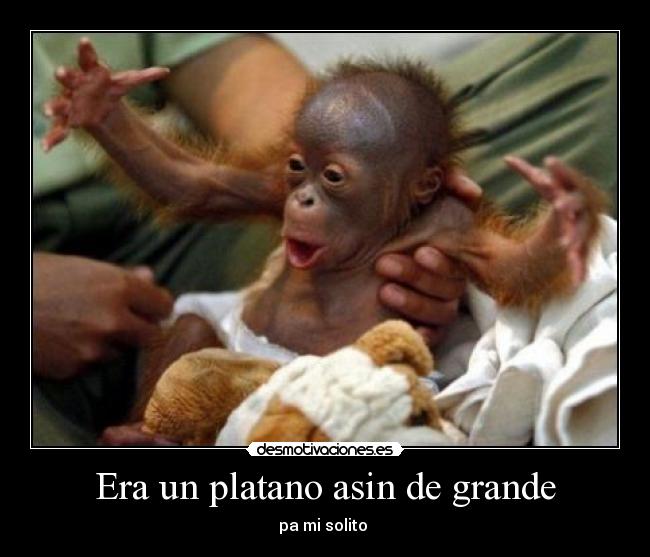 Era un platano asin de grande - pa mi solito 