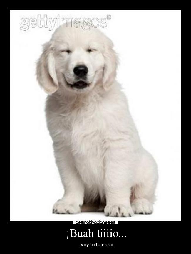 ¡Buah tiiiio... - ...voy to fumaao!