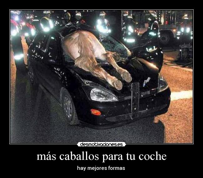 carteles caballo desmotivaciones