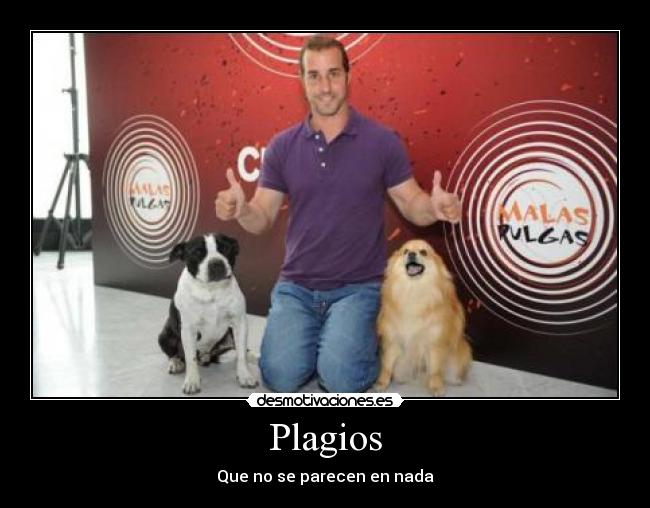 Plagios - Que no se parecen en nada