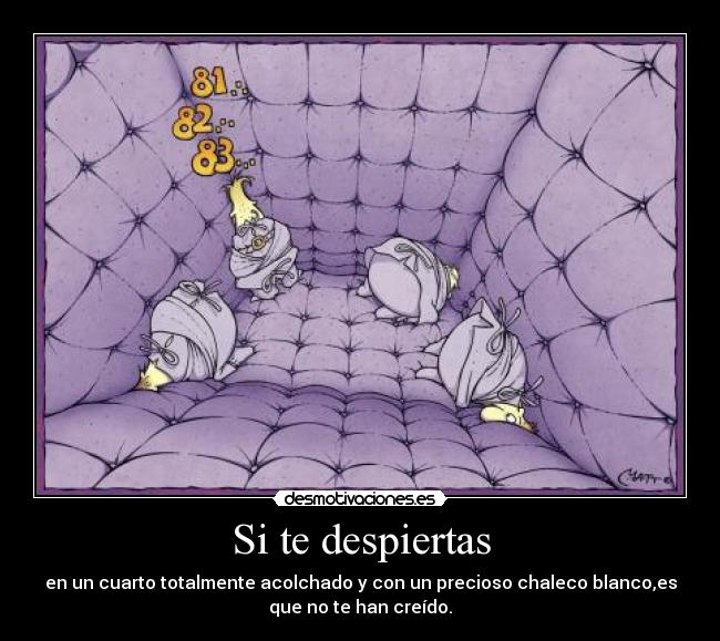 Si te despiertas - en un cuarto totalmente acolchado y con un precioso chaleco blanco,es
que no te han creído.