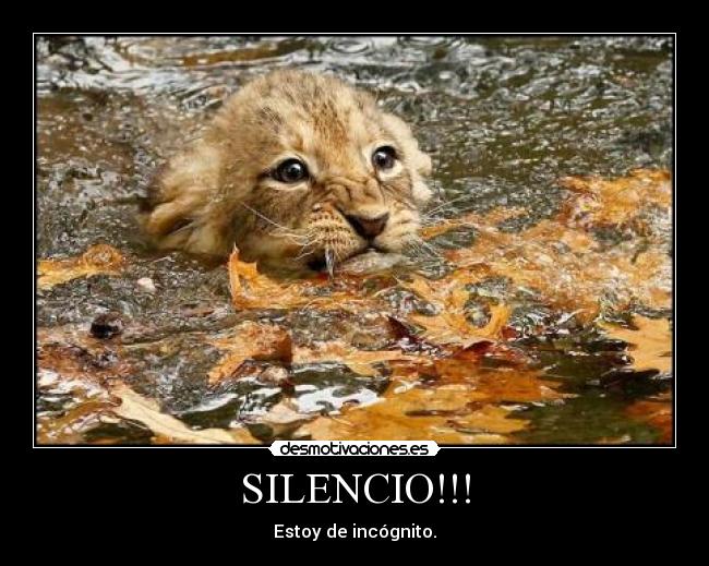 SILENCIO!!! -