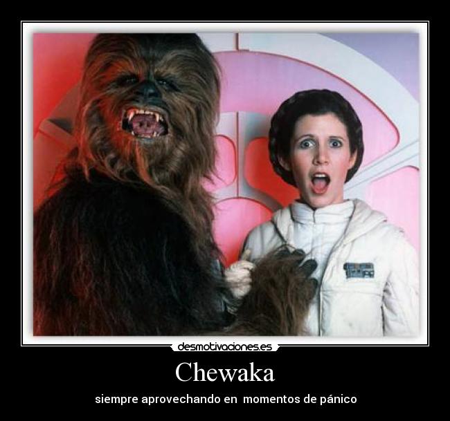 Chewaka - siempre aprovechando en momentos de pánico