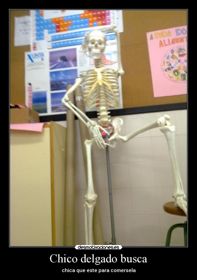 Chico delgado busca - 