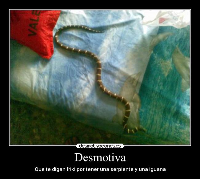 Desmotiva - 