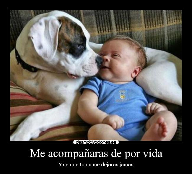 Me acompañaras de por vida - 