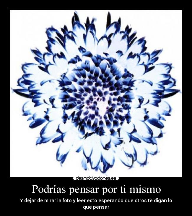 Podrías pensar por ti mismo - 