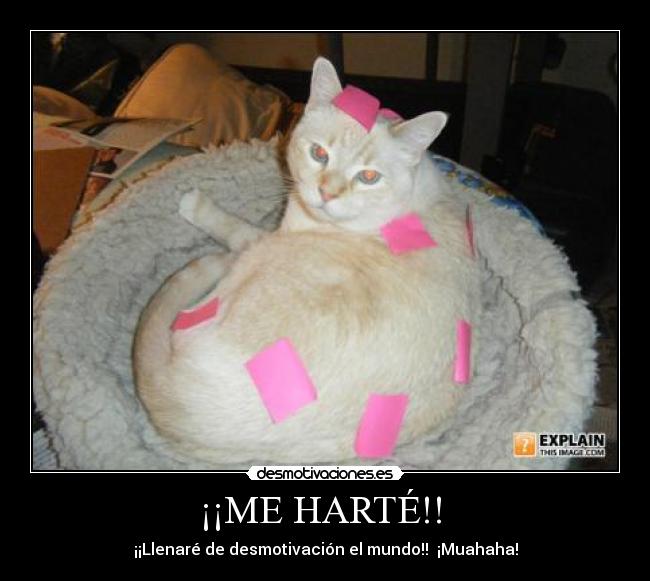 carteles senor desmotivaciones desmotivaciones