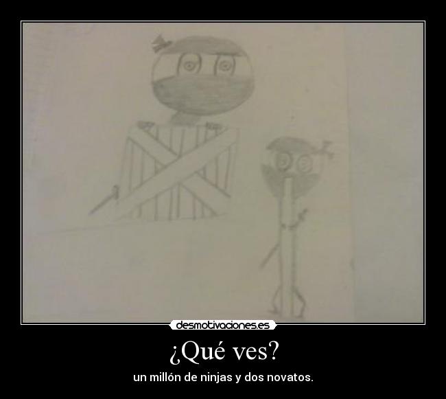 ¿Qué ves? - un millón de ninjas y dos novatos.