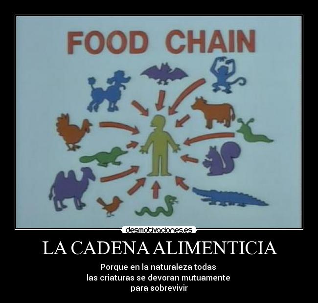 LA CADENA ALIMENTICIA -