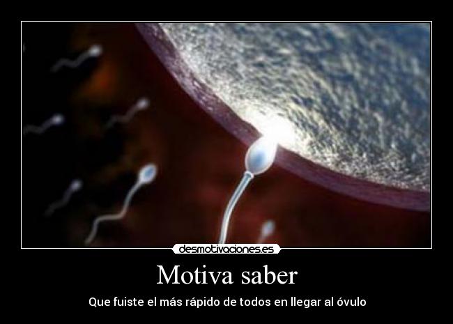 Motiva saber - 