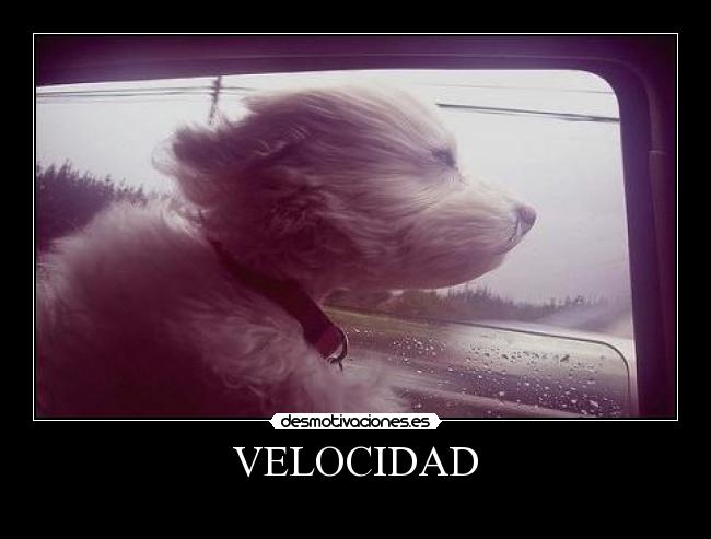 VELOCIDAD - 
