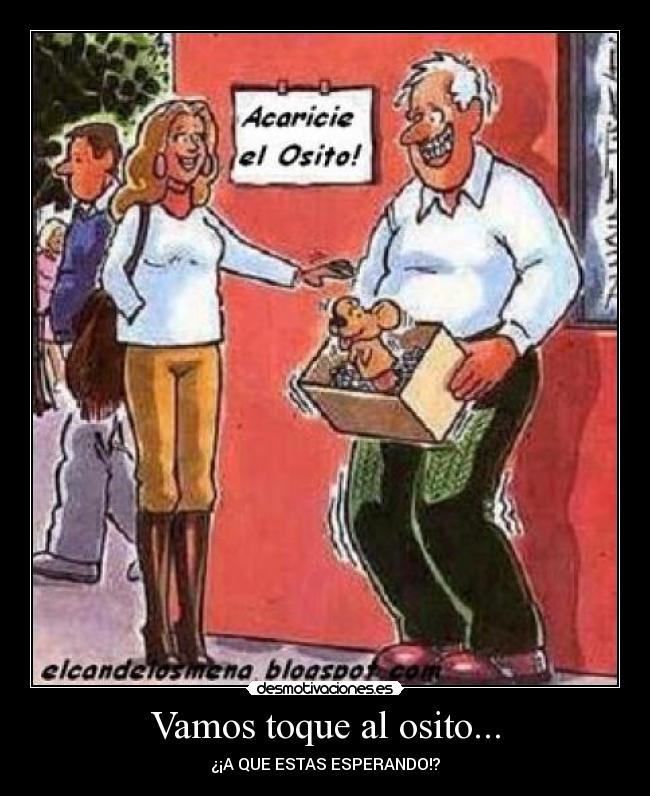 Vamos toque al osito... -