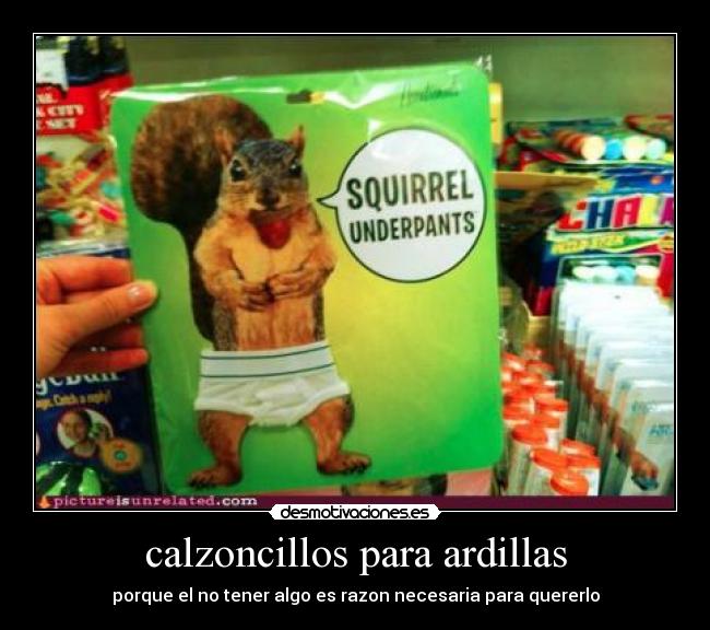 calzoncillos para ardillas - porque el no tener algo es razon necesaria para quererlo