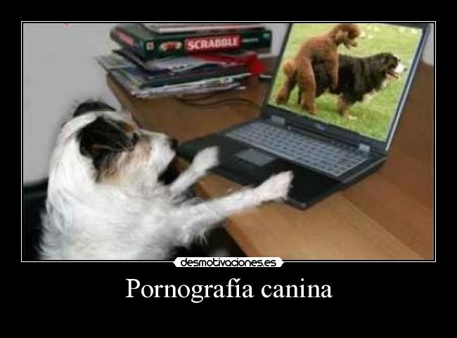 Pornografía canina -