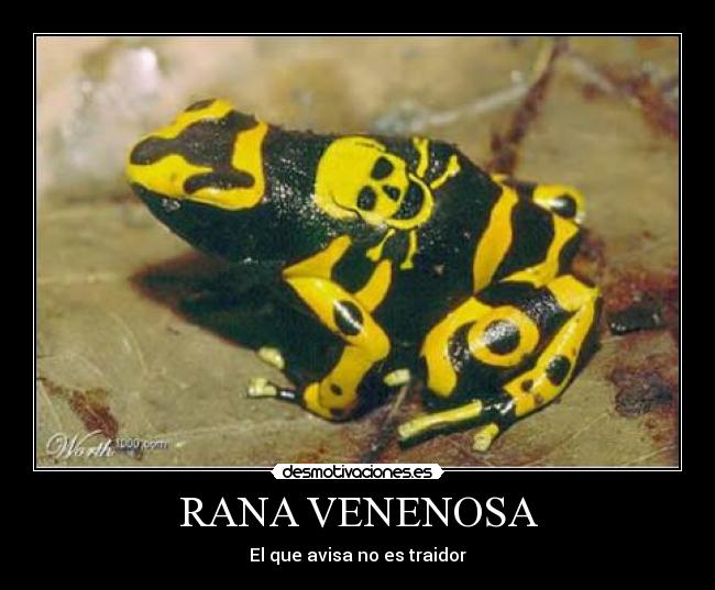 RANA VENENOSA - El que avisa no es traidor