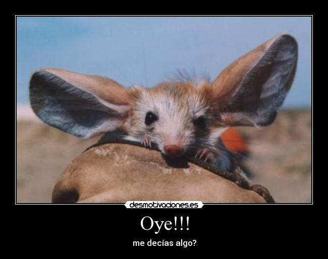 Oye!!! - me decías algo?