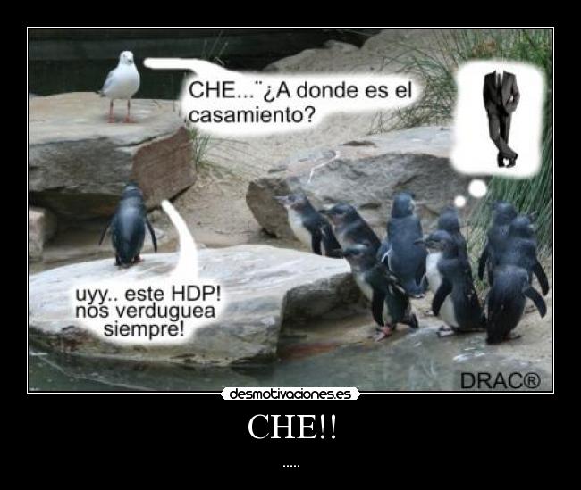 CHE!! - .....
