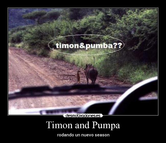 Timon and Pumpa -