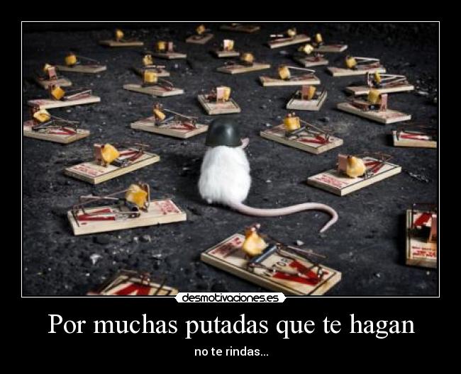 Por muchas putadas que te hagan - no te rindas...