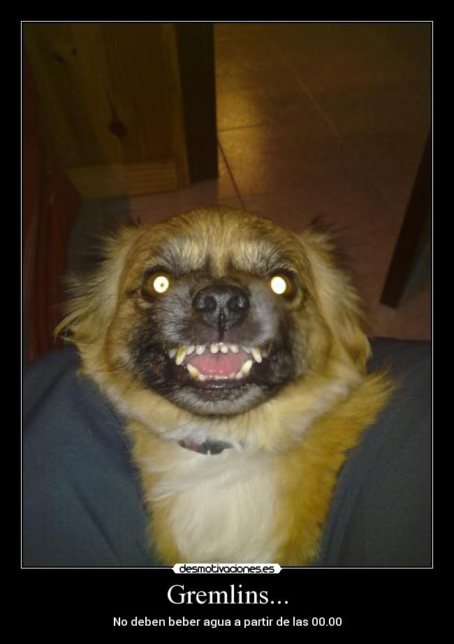 Gremlins... -