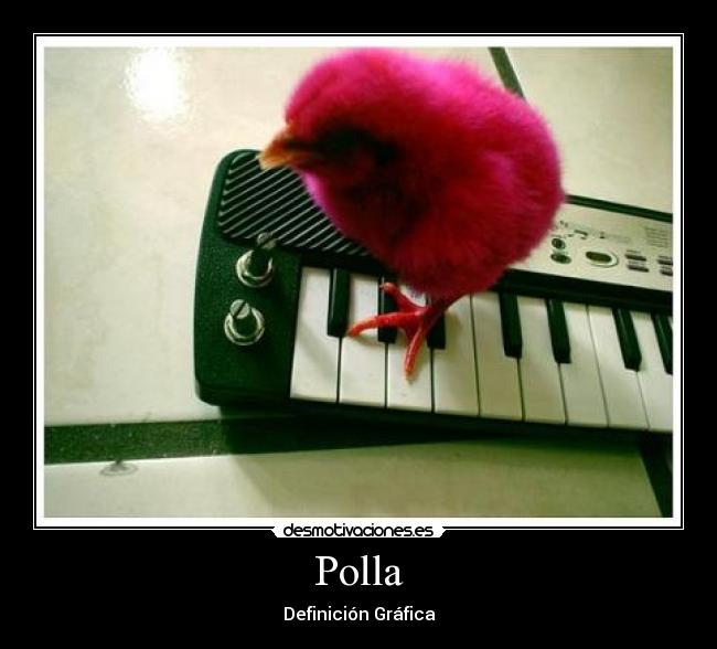 Polla - 