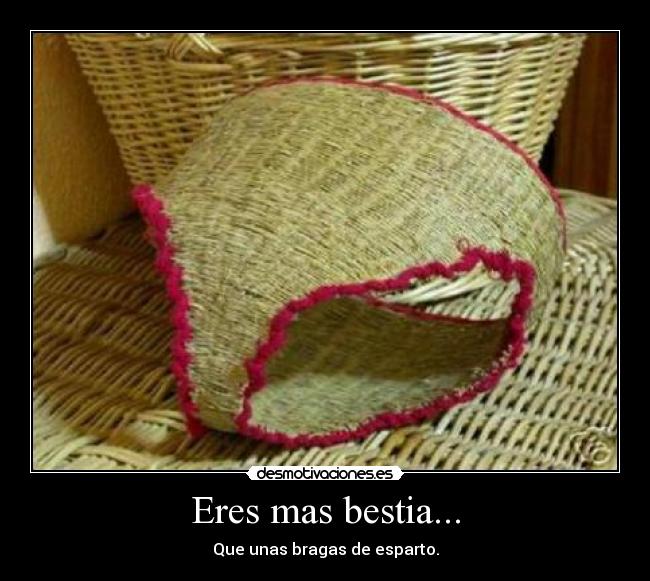 Eres mas bestia... - Que unas bragas de esparto.
