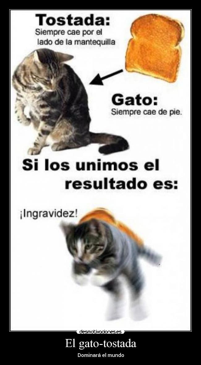 El gato-tostada -